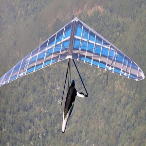 Hang glider wing