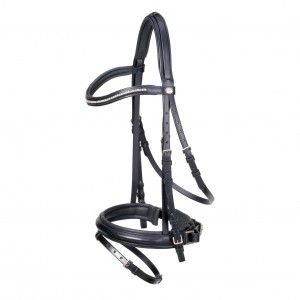 Show Jumping - Bridle