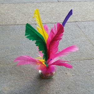 Jianzi/Shuttlecock