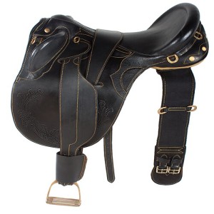 Dressage - Saddle