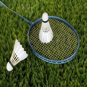 Badminton - Racquet