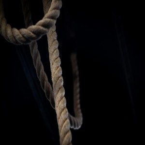 Tug Of War - Rope