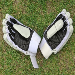 Cricket - Gloves