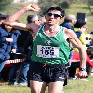 Cross Country - Shorts