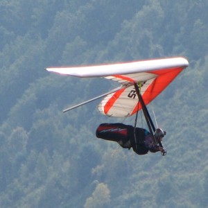 Hang glider wing