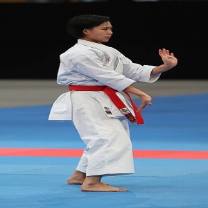 Karate-gi