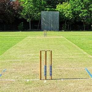 Cricket Stumps