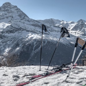 Speed Skiing - Ski Poles