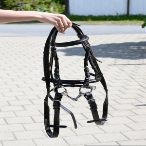 Show Jumping - Bridle