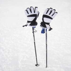 Alpine Skiing - Gloves