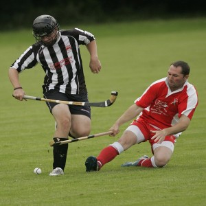 Shinty - Ball