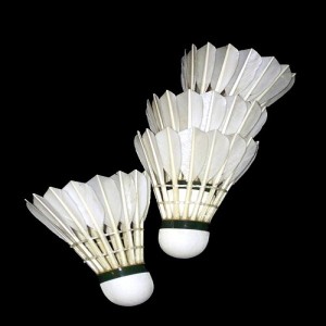 Shuttlecock