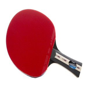 Racquet / Paddle / Bat