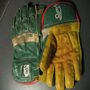 Wicket Keeper Gloves