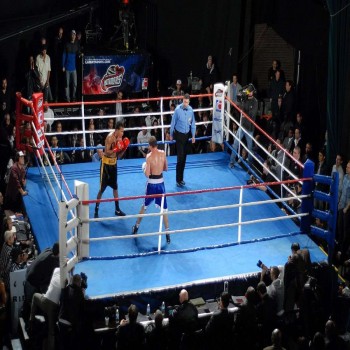 World Series of Boxing
