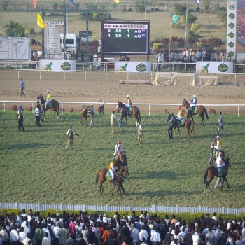 Derby Horses' in front of the grandstand on way to 'Starting Gates