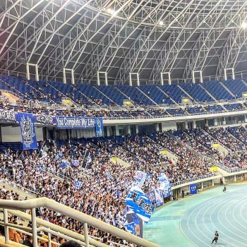 Tianjin Tigers fans