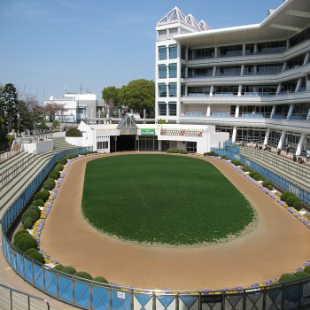 Panoramio of Nakayama Racecourse