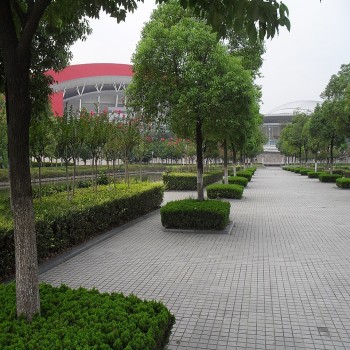 Nanjing Olympic Sports Center