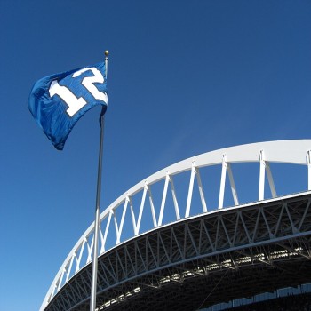 The 12th Man flag and a portion of the roof's support truss