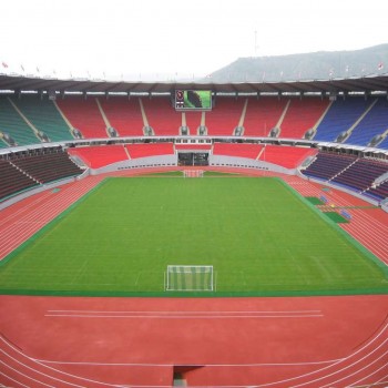 Boris Paichadze Stadium
