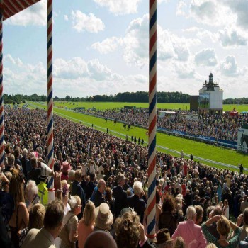York Racecourse Events