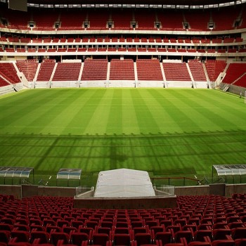 View of the pitch at Arena Pernambuco