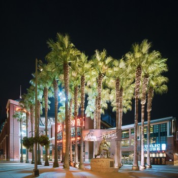 Main entrance with Willie Mays statue and 24 palm trees