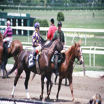 Horses march in the pre-race post parade at Belmont