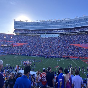 View from inside the stadium 2024