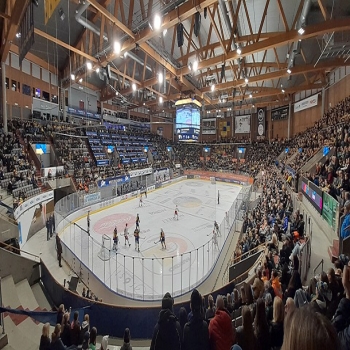 Interior view of the arena (2022)