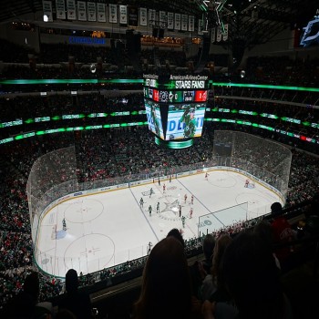 Detroit Red Wings vs. Dallas Stars January 2020 02 (in-game action)
