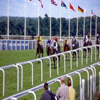 The finishing straight at Ascot