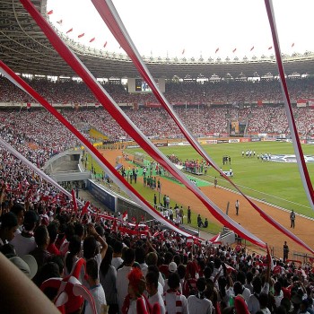 The stadium during the 2007 AFC Asian Cup