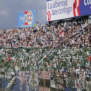 Fans
