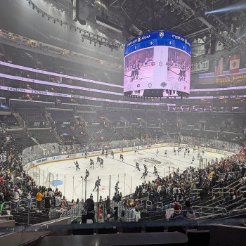 During a Kings game against the Montreal Canadiens in February 2025