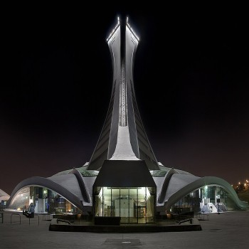Back view at night