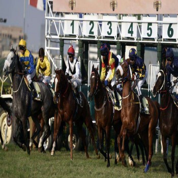 Mahalaxmi Racecourse Events