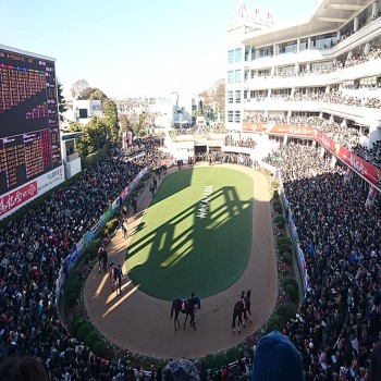 Hopeful S (Japan) (December 25,2016), Nakayama Racecourse,
