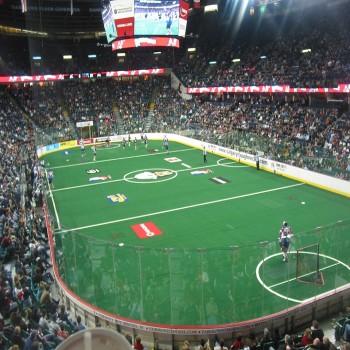 Inside the Saddledome during a Calgary Roughnecks game