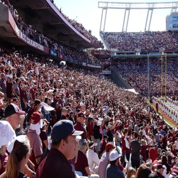 Williams–Brice Stadium in 2016