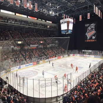 Sheffield Steelers v Guildford Flames @ Sheffield Arena, January 2020