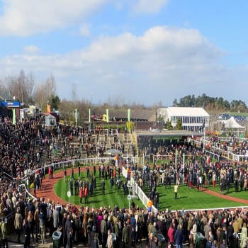 The parade ring during the 2014 Festival