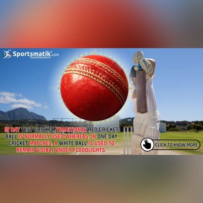 facts about cricket