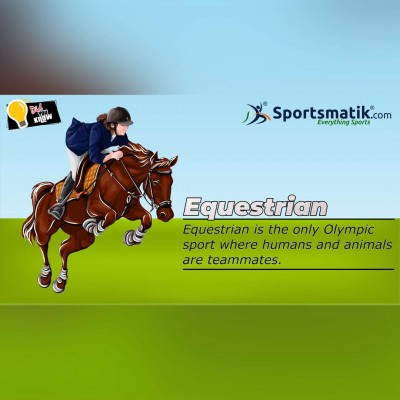 equestrian facts