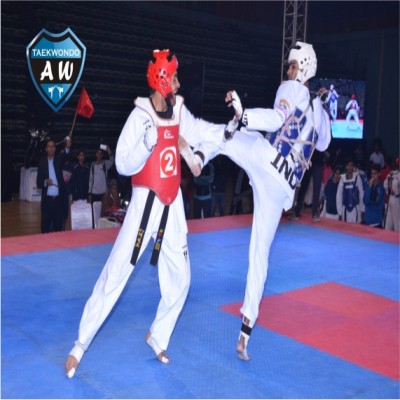 Aryans World Taekwondo Academy