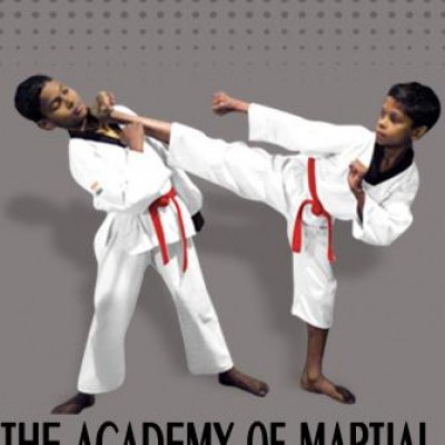 Omega the academy of martial art