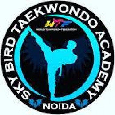 Sky bird taekwondo academy