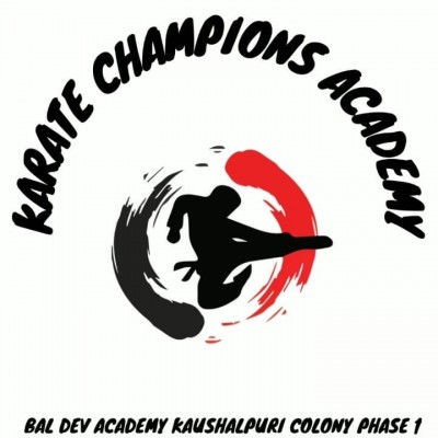 Karate champions academy
