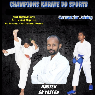 THE LIONS KARATE ACADEMY